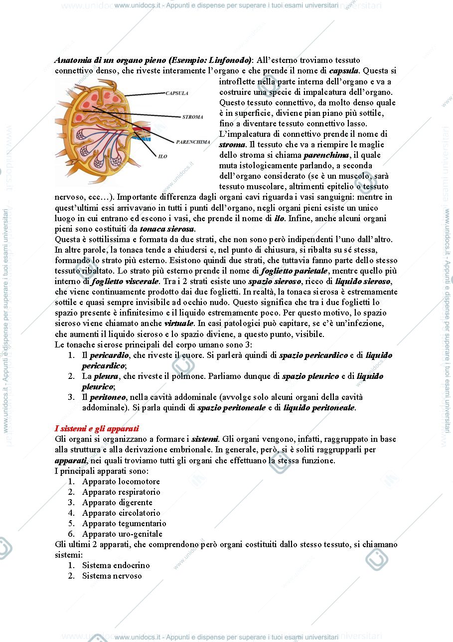 Anteprima pagina 3 — Anatomia