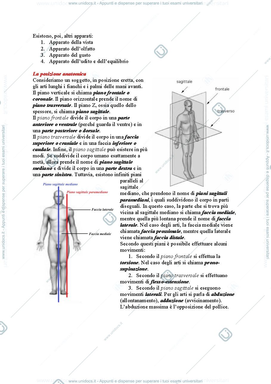 Anteprima pagina 4 — Anatomia