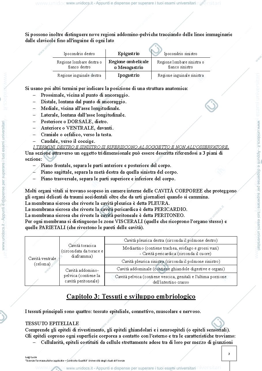 Anteprima pagina 3 — Anatomia Umana 