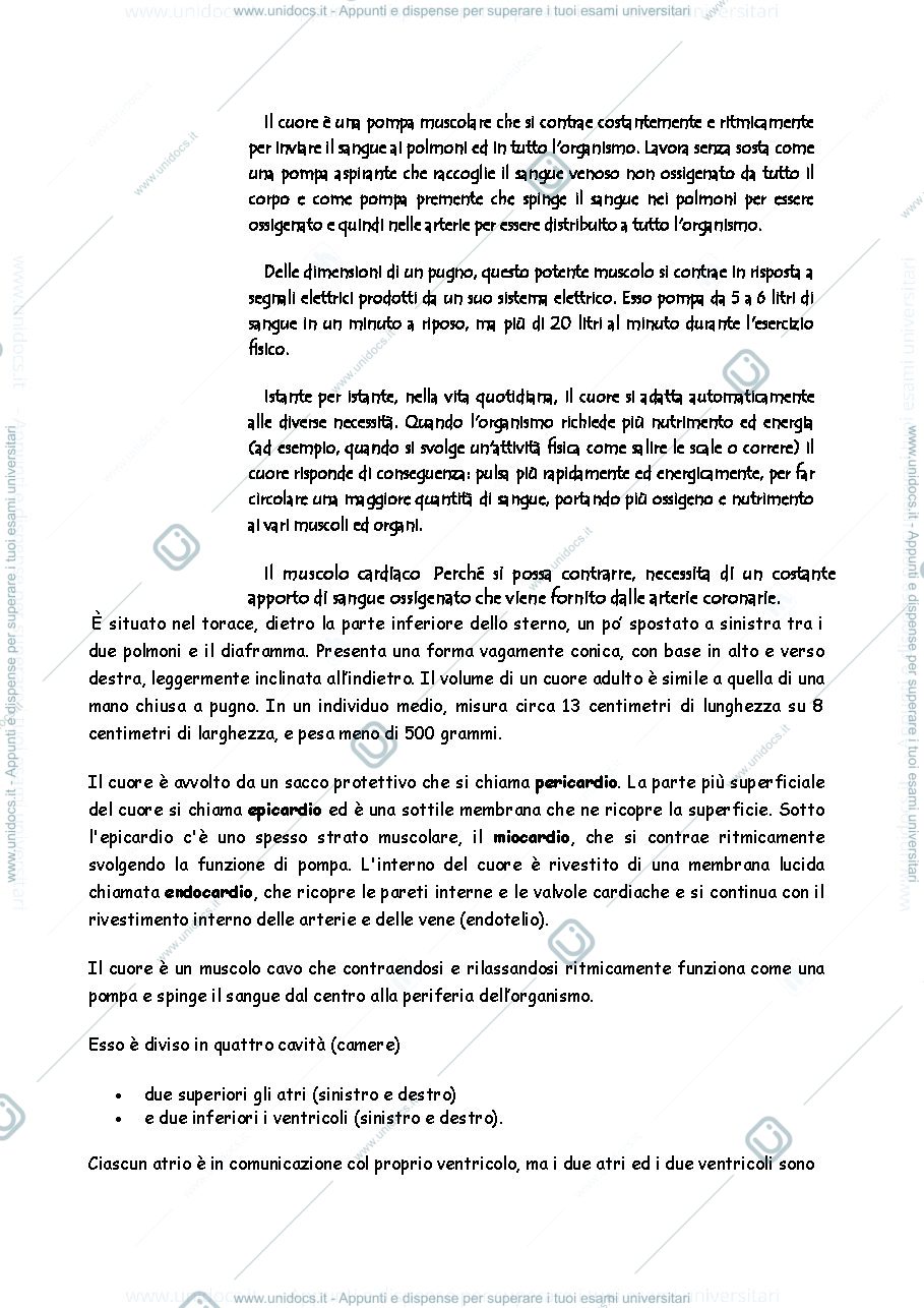 Anteprima pagina 2 — L'apparato circolatorio