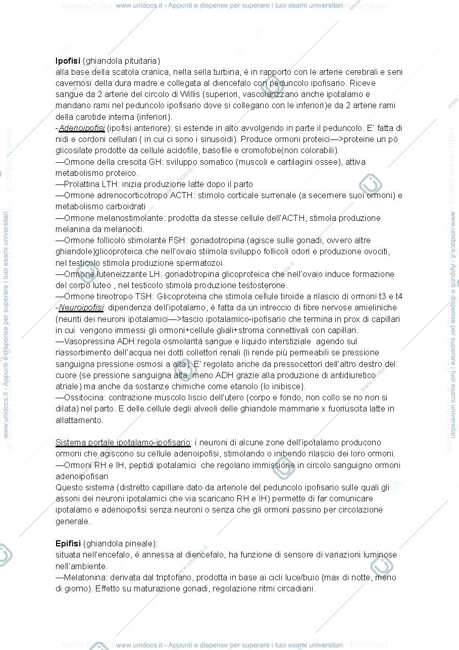 Anteprima pagina 1 — Apparato endocrino 
