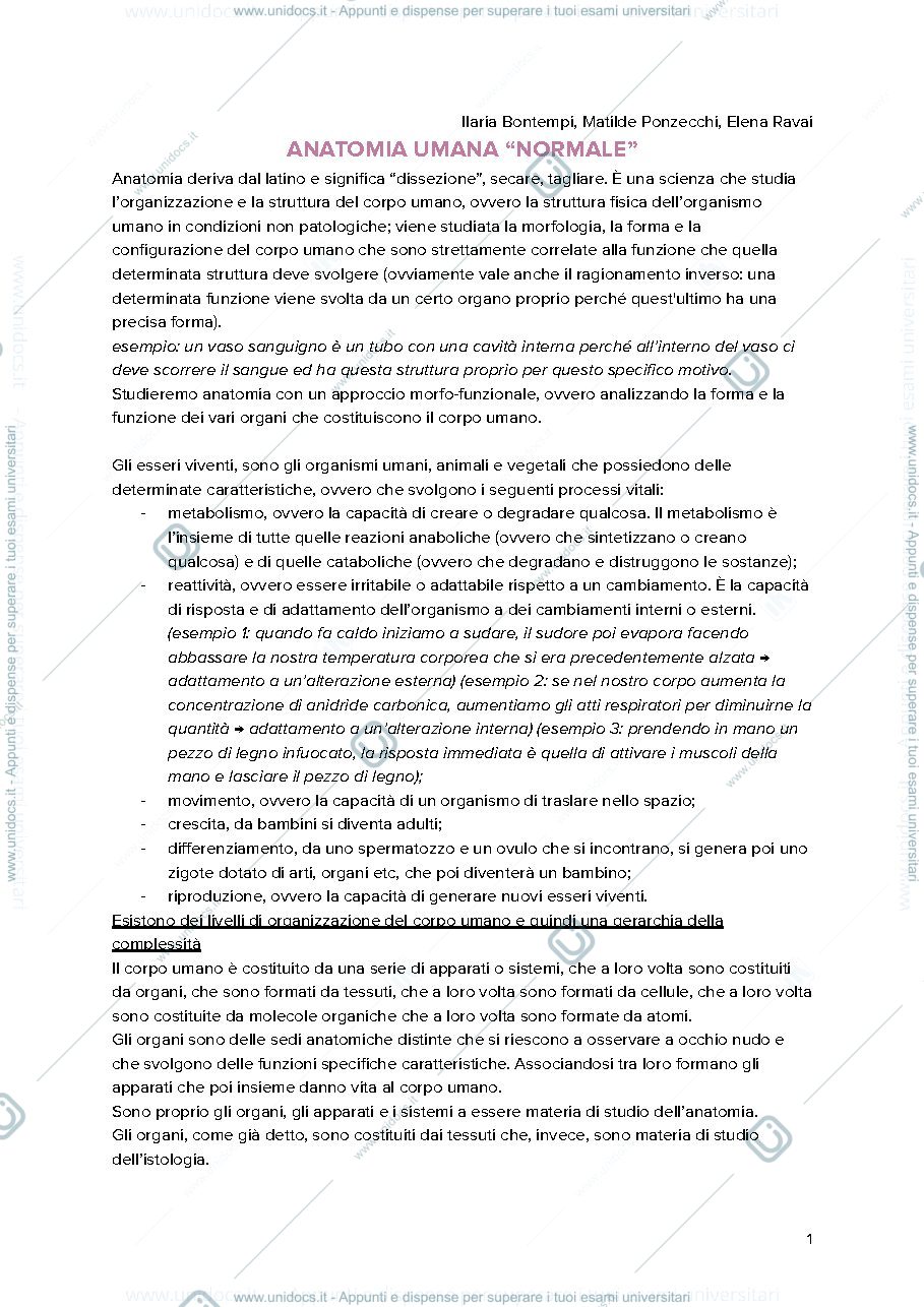 Anteprima pagina 1 — Anatomia