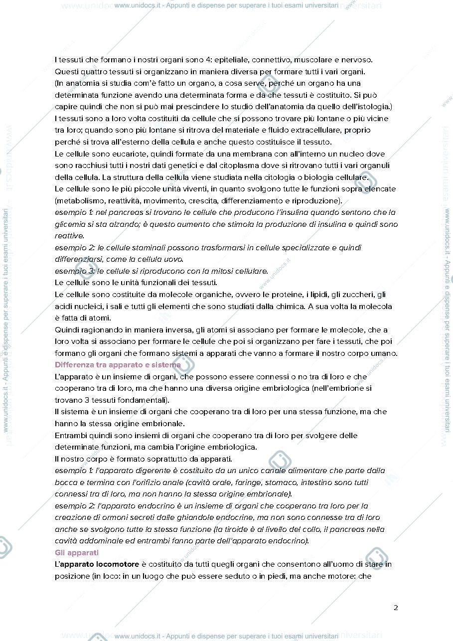 Anteprima pagina 2 — Anatomia