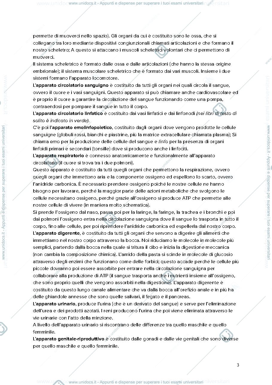 Anteprima pagina 3 — Anatomia