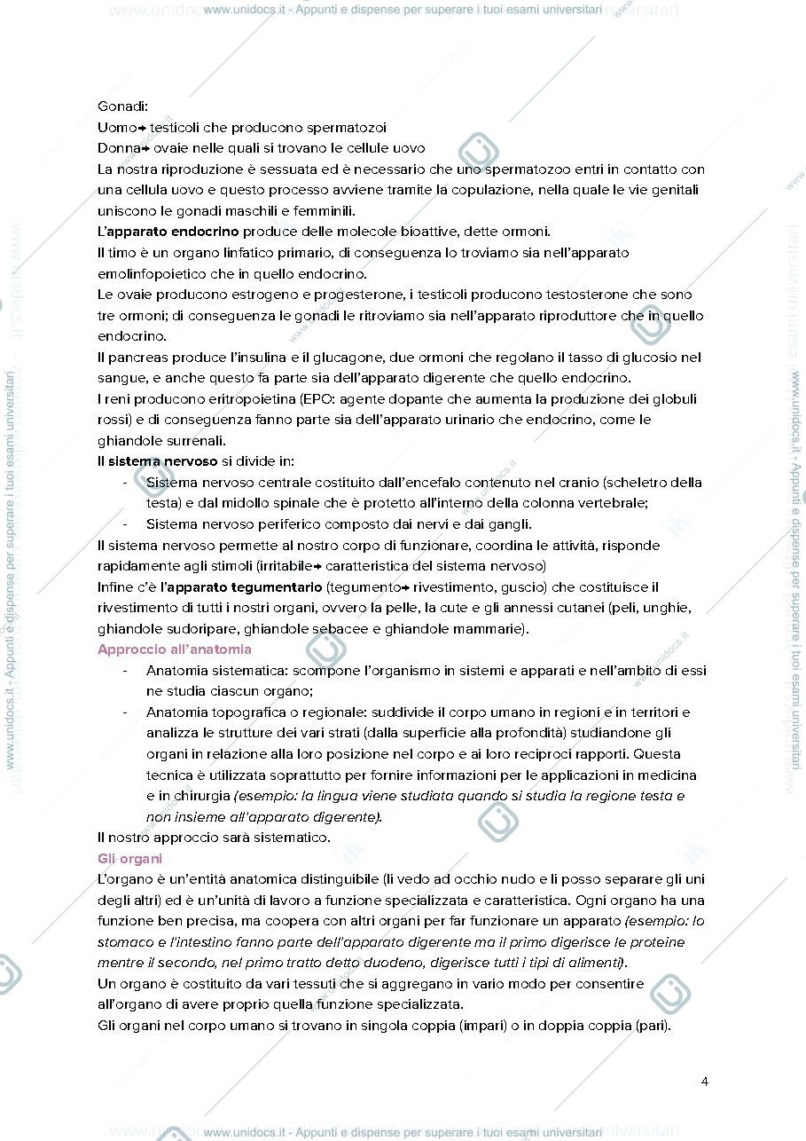 Anteprima pagina 4 — Anatomia