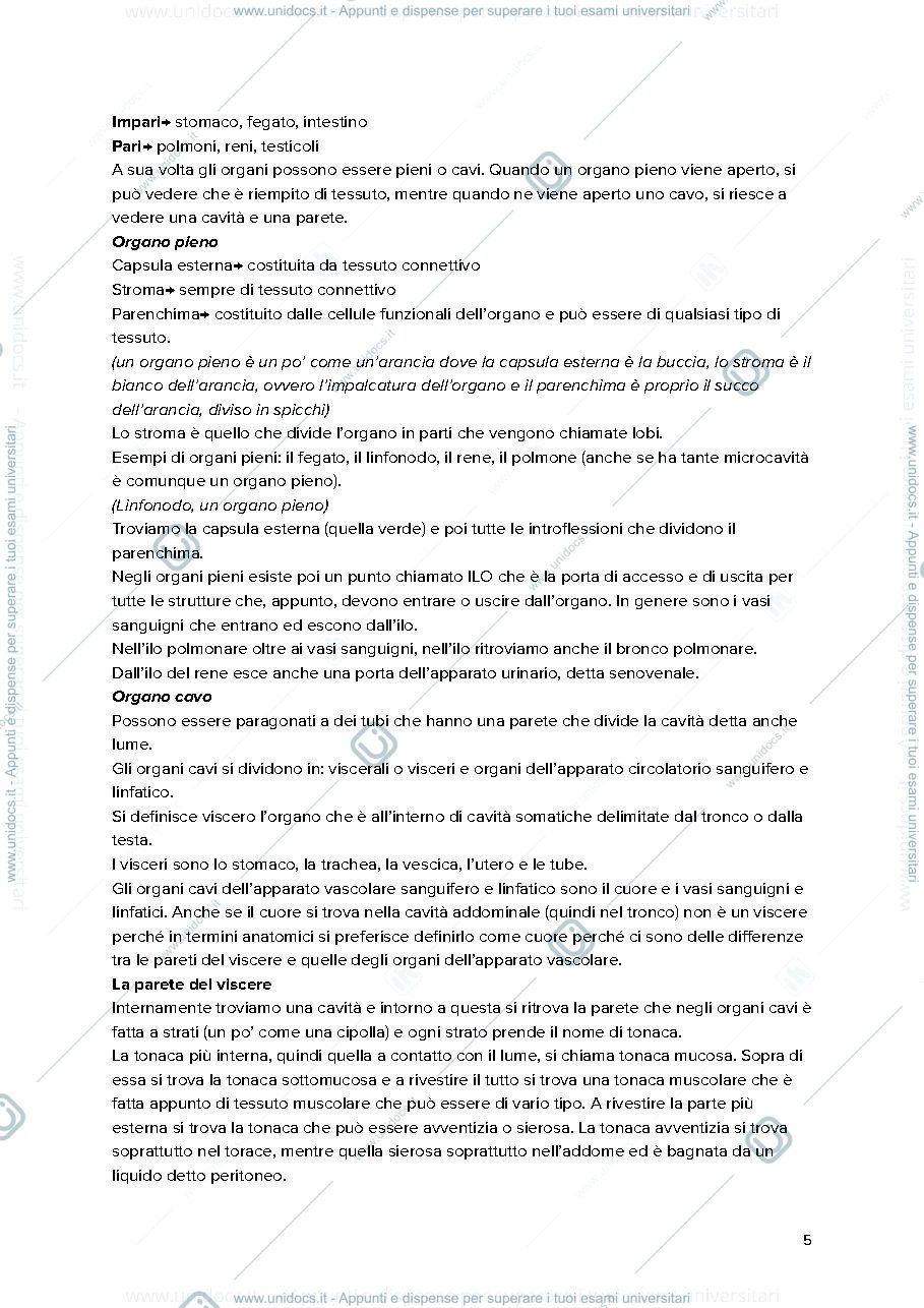 Anteprima pagina 5 — Anatomia