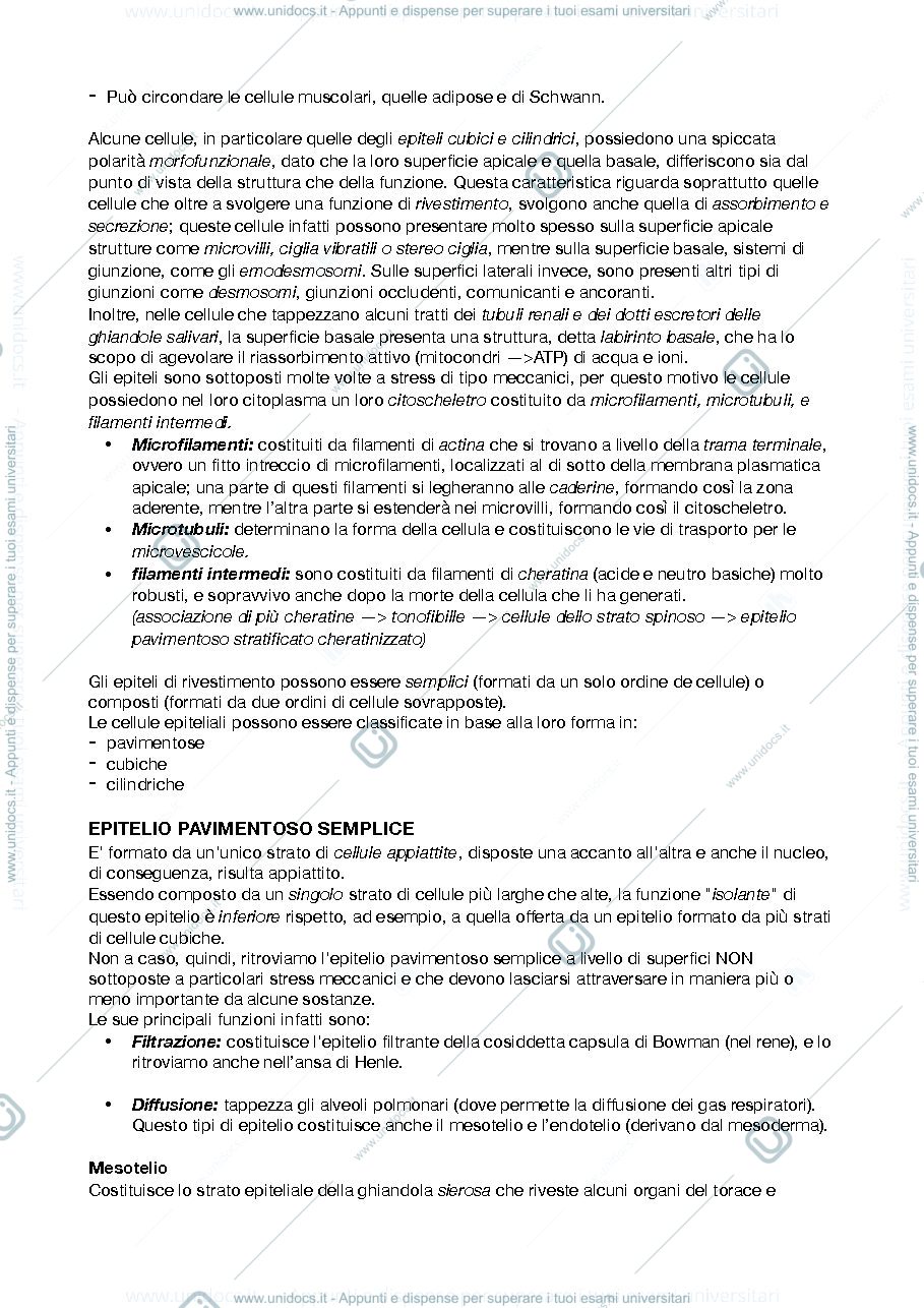 Anteprima pagina 2 — istologia e anatomia