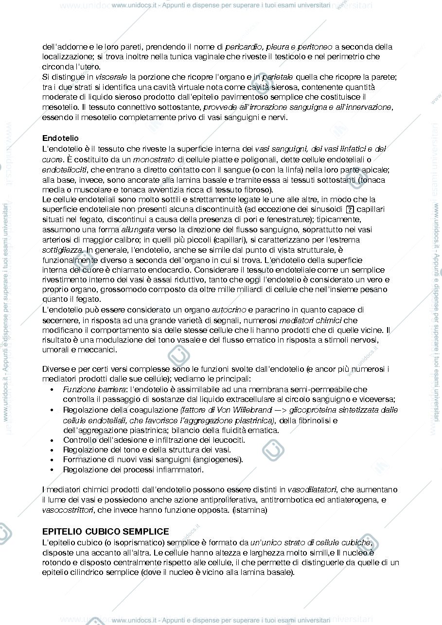 Anteprima pagina 3 — istologia e anatomia