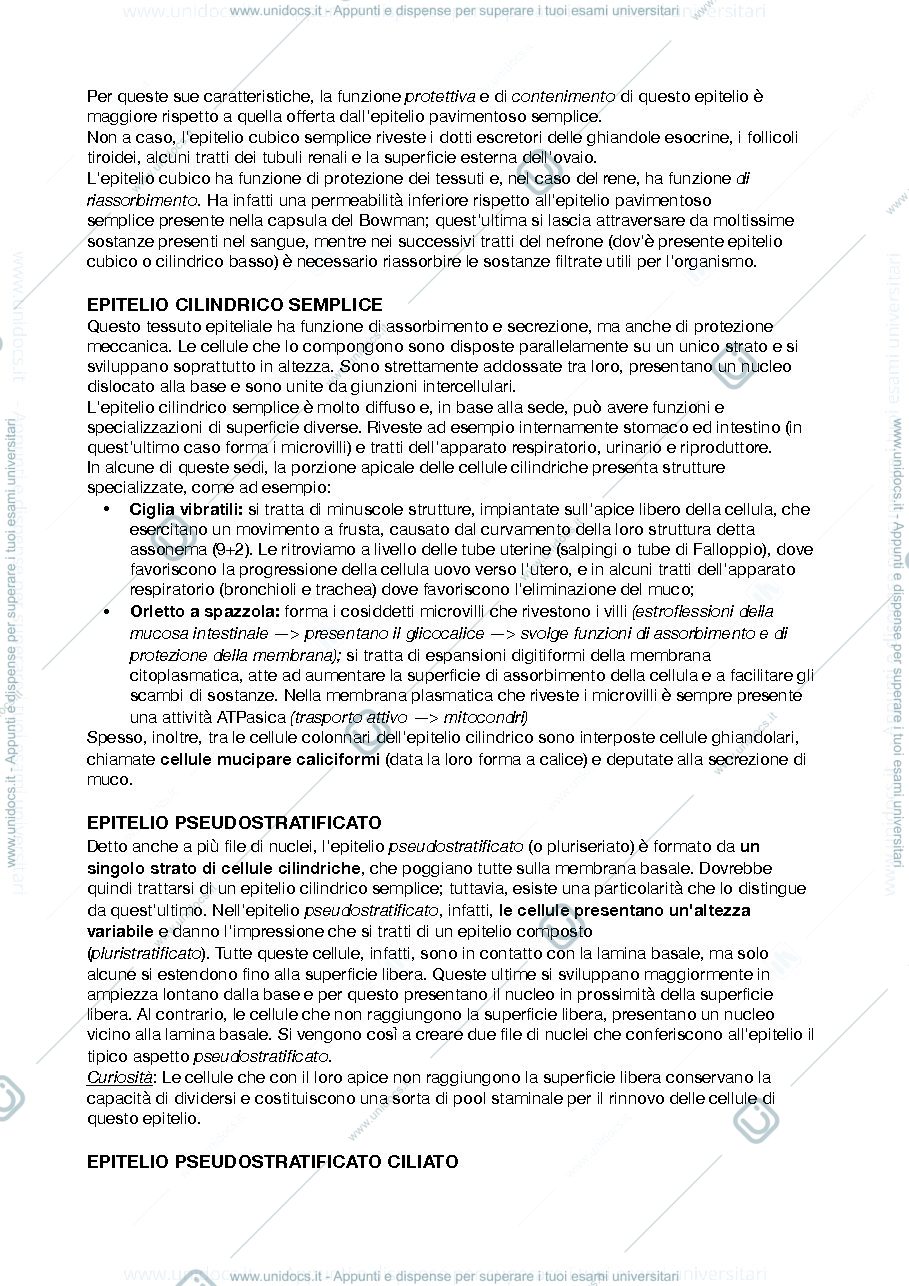 Anteprima pagina 4 — istologia e anatomia