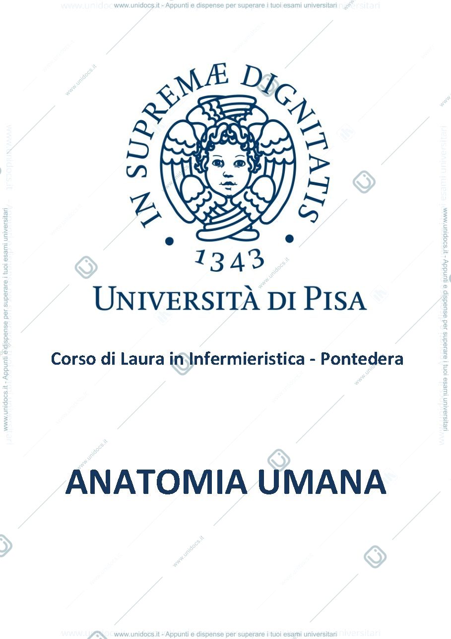 Anteprima pagina 1 — Anatomia