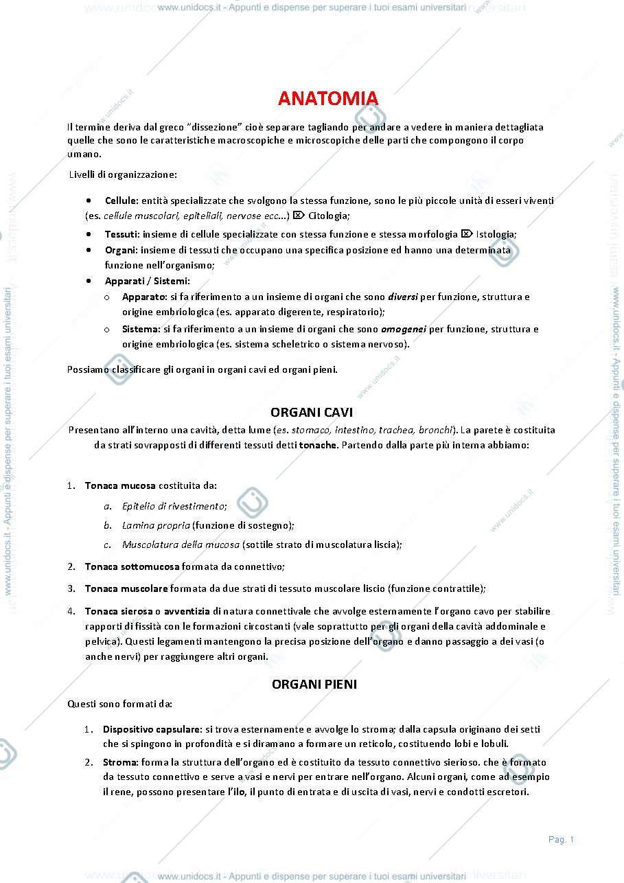 Anteprima pagina 2 — Anatomia