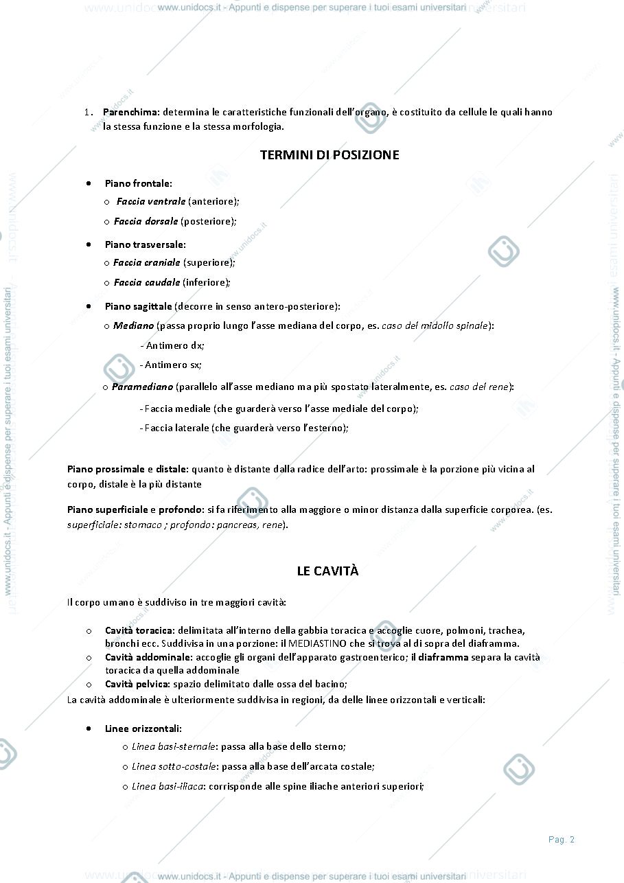 Anteprima pagina 3 — Anatomia