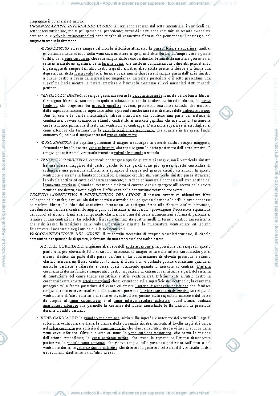 Anteprima pagina 3 — ANATOmia