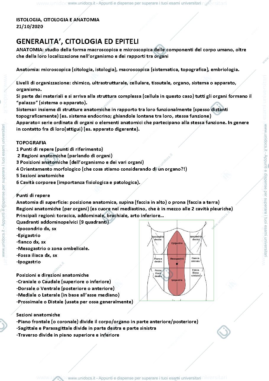 Anteprima pagina 1 — ISTOLOGIA E ANATOMIA 