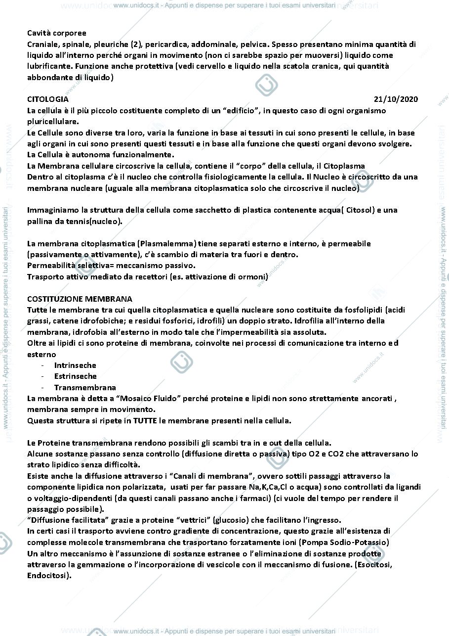 Anteprima pagina 2 — ISTOLOGIA E ANATOMIA 