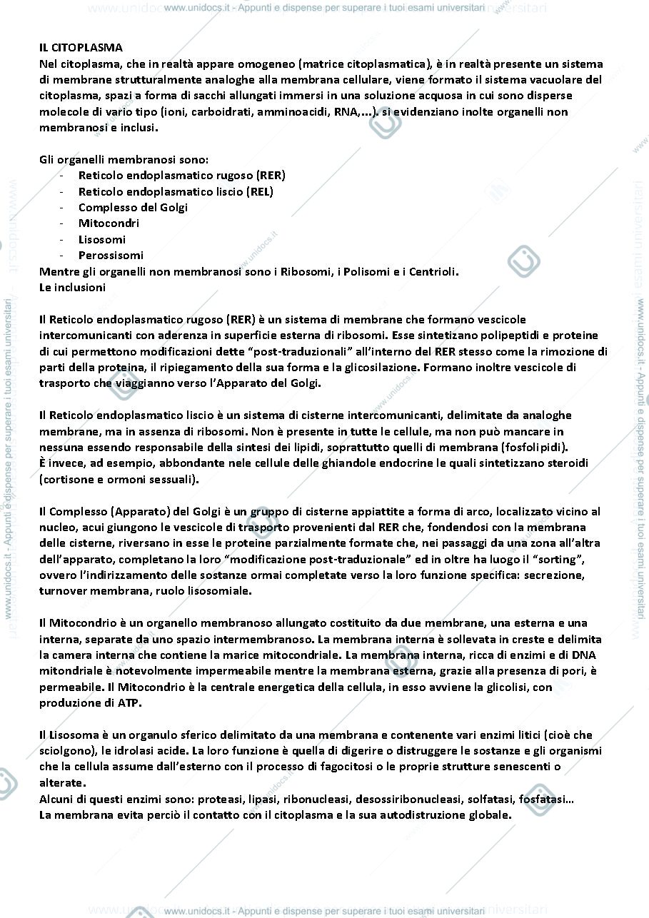 Anteprima pagina 4 — ISTOLOGIA E ANATOMIA 