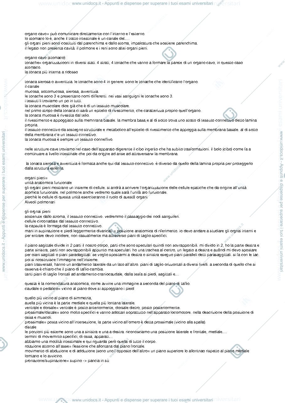 Anteprima pagina 1 — appunti lezioni anatomia