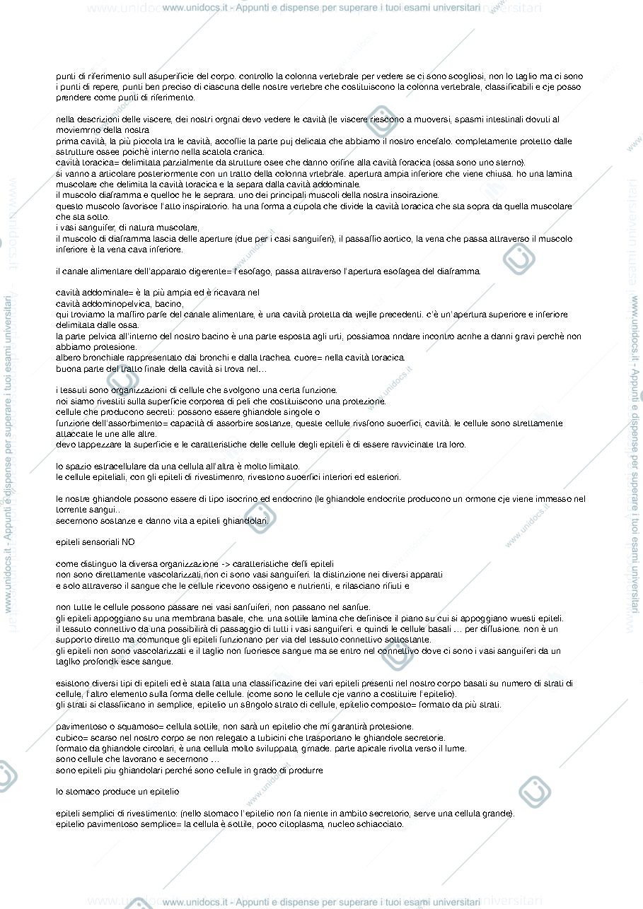 Anteprima pagina 2 — appunti lezioni anatomia