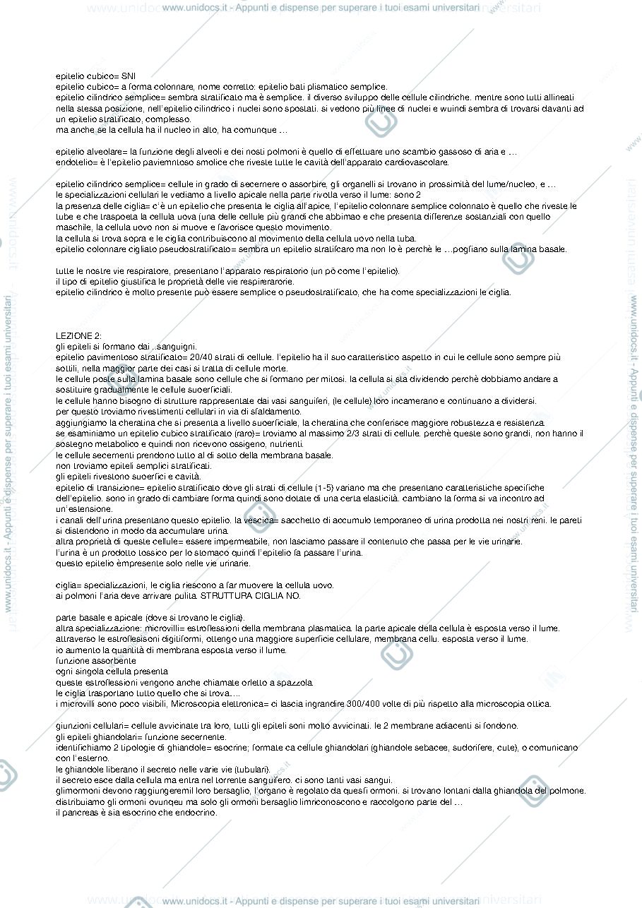Anteprima pagina 3 — appunti lezioni anatomia