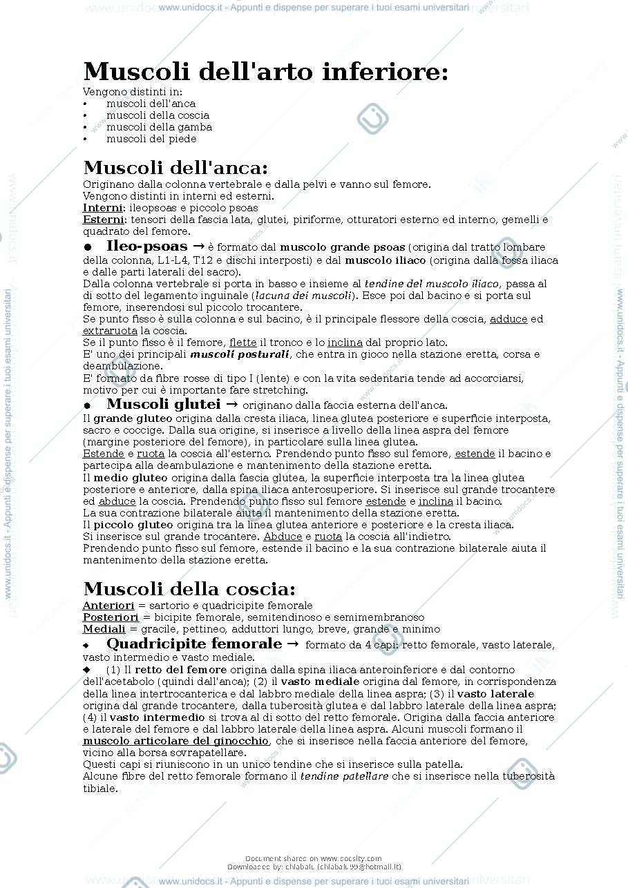 Anteprima pagina 2 — Anatomia apparato locomotore 