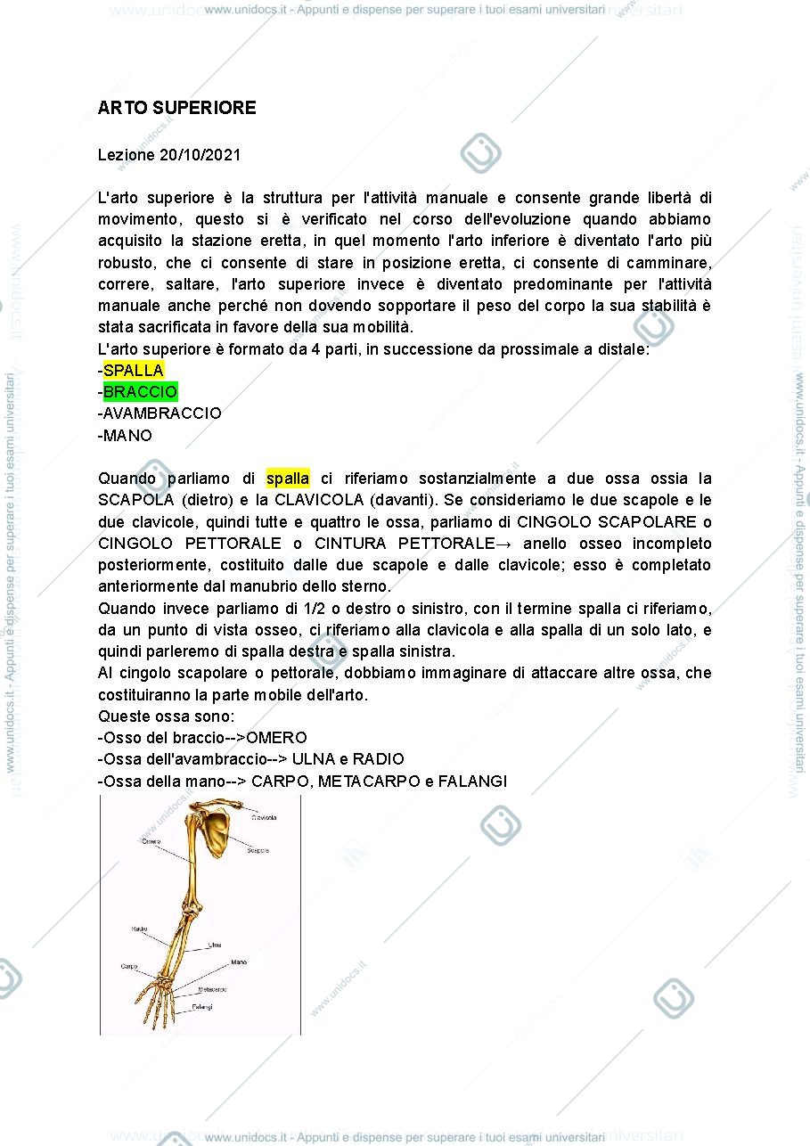 Anteprima pagina 1 — arto superiore e tronco 