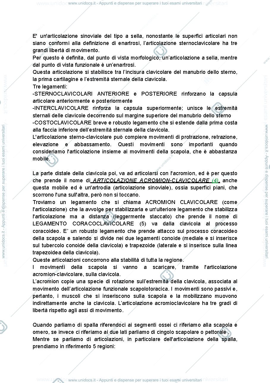 Anteprima pagina 3 — arto superiore e tronco 