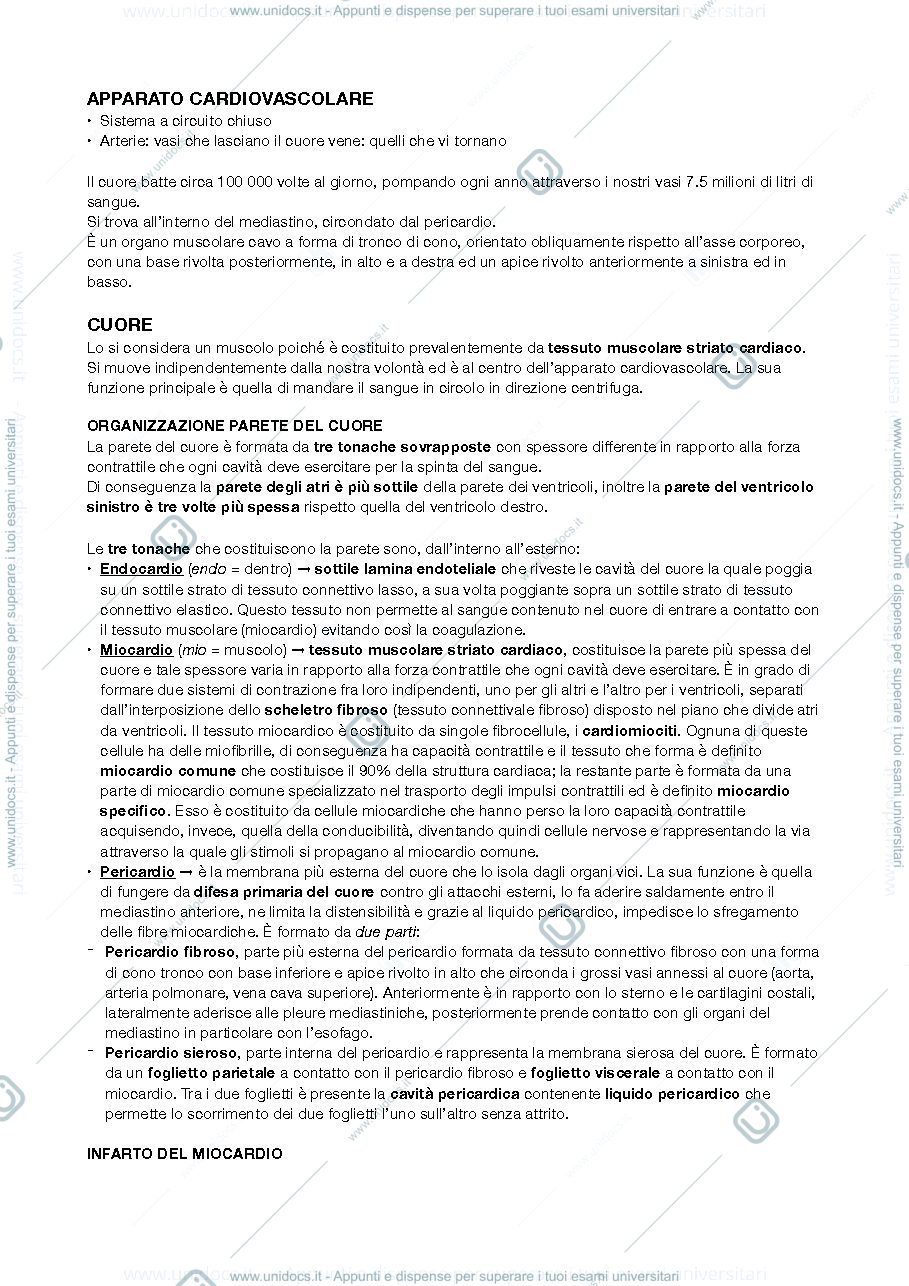 Anteprima pagina 1 — cuore