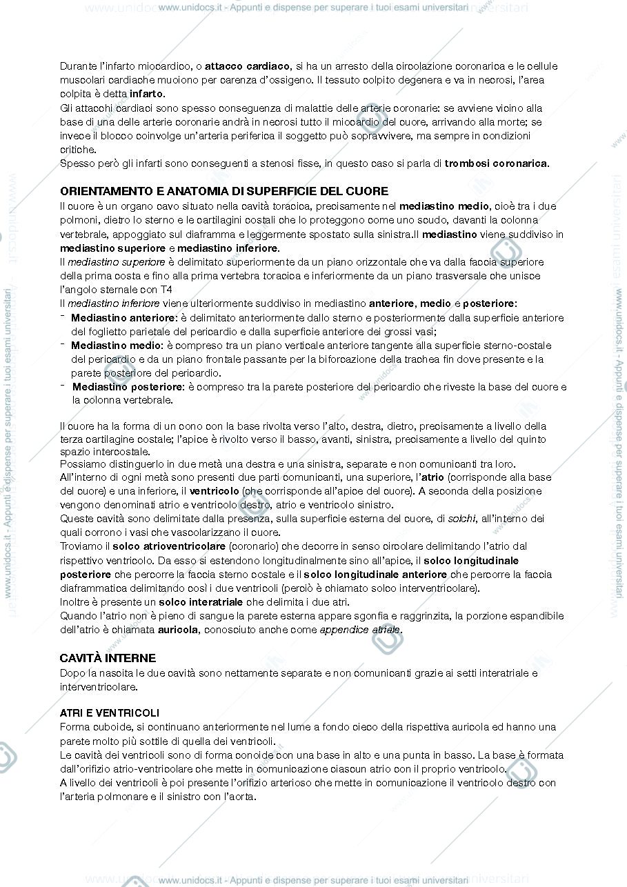 Anteprima pagina 2 — cuore