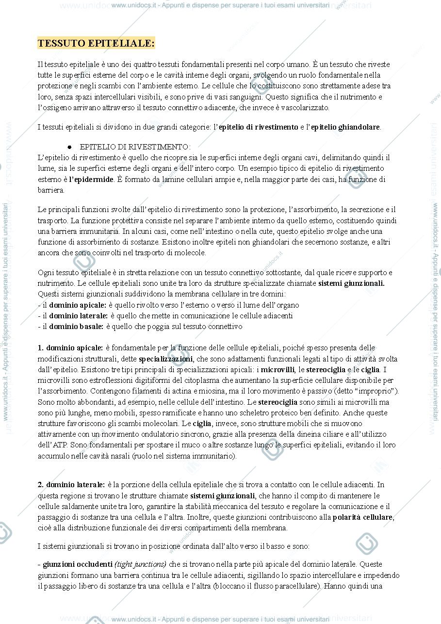 Anteprima pagina 1 — tessuti, istologia