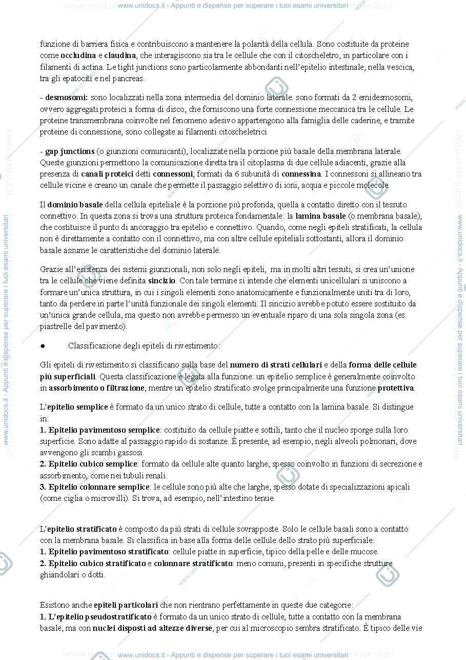Anteprima pagina 2 — tessuti, istologia