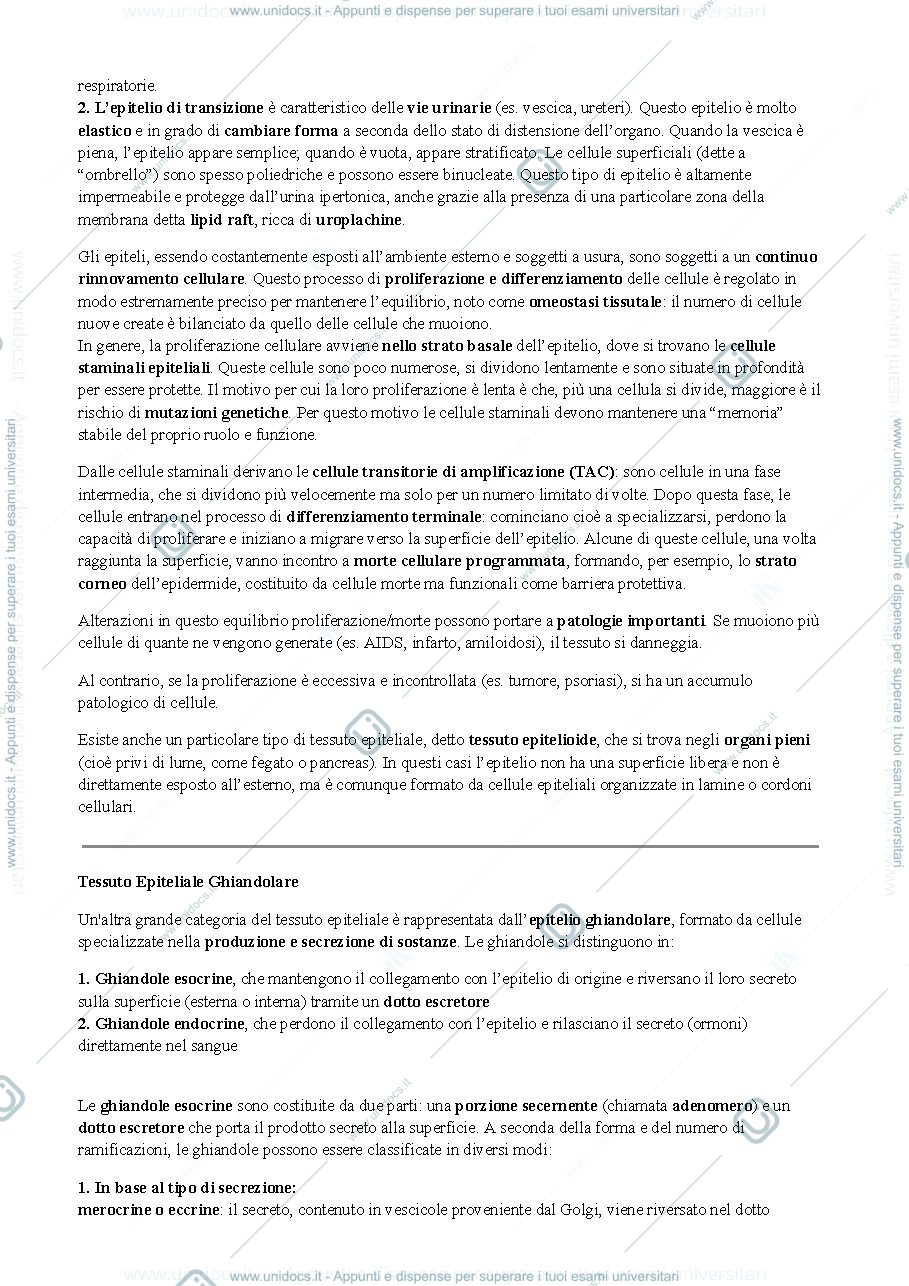 Anteprima pagina 3 — tessuti, istologia