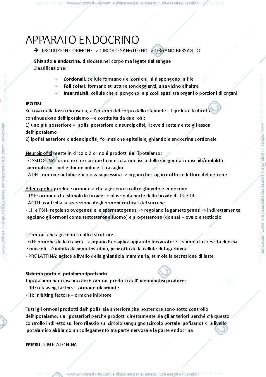 Anteprima pagina 1 — APPARATO ENDOCRINO