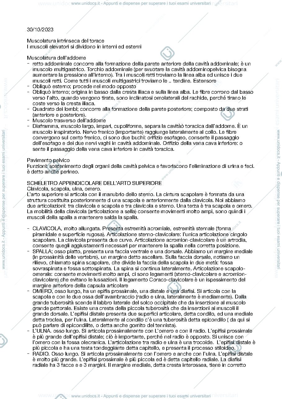 Anteprima pagina 1 — La Muscolatura 