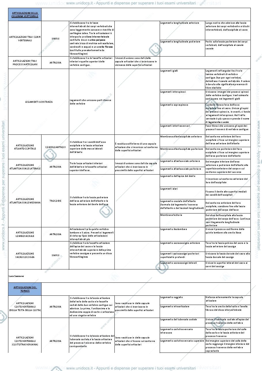Anteprima pagina 1 — Schema sulle articolazioni