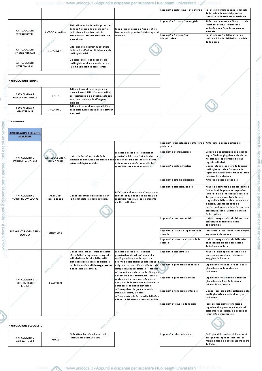 Anteprima pagina 2 — Schema sulle articolazioni