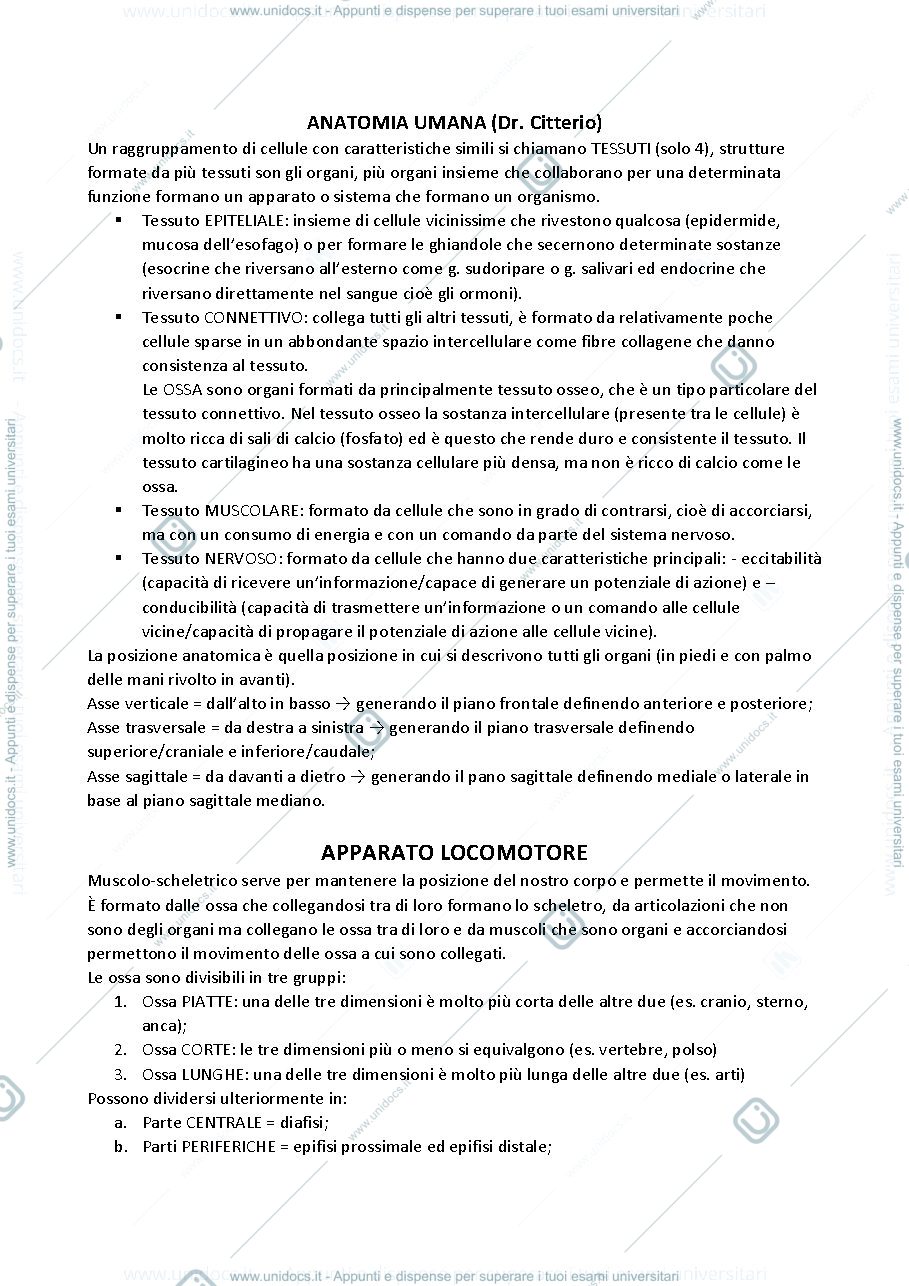 Anteprima pagina 1 — Anatomia Umana - Dr. Giovanni Criterio 