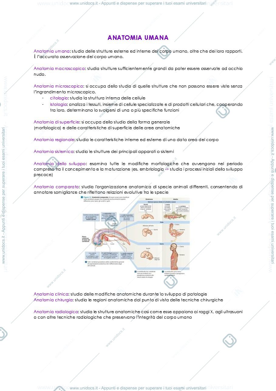 Anteprima pagina 1 — Anatomia umana