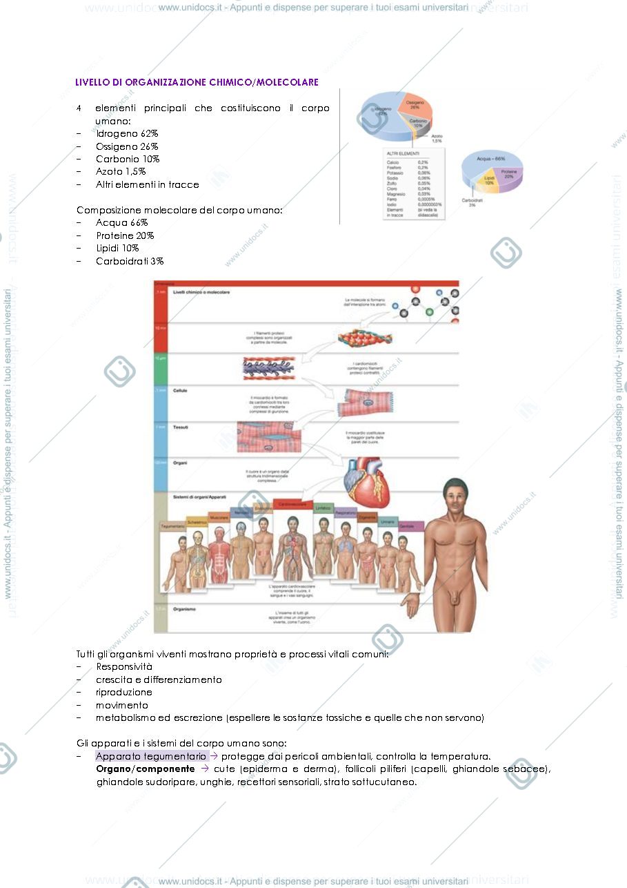 Anteprima pagina 2 — Anatomia umana