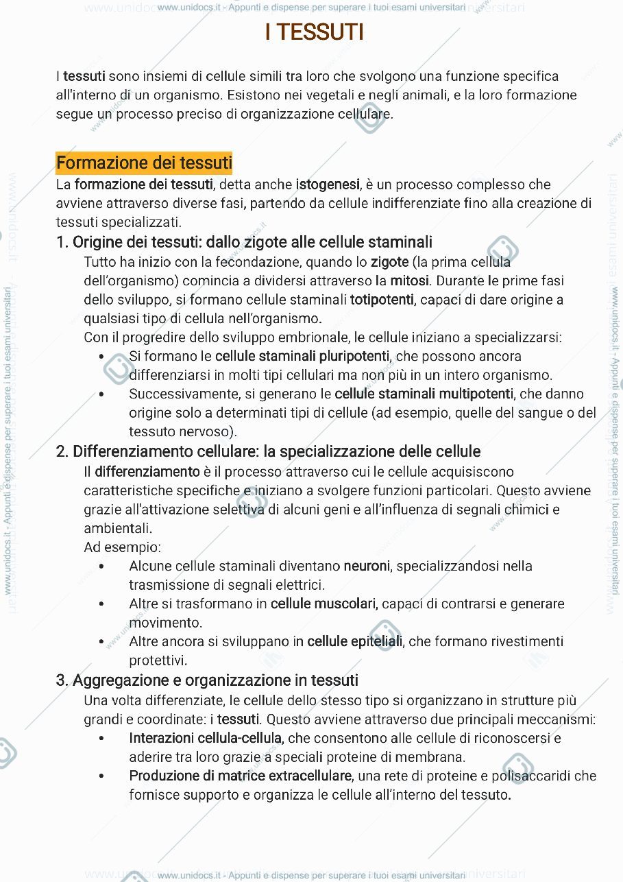 Anteprima pagina 1 — Introduzione ai tessuti