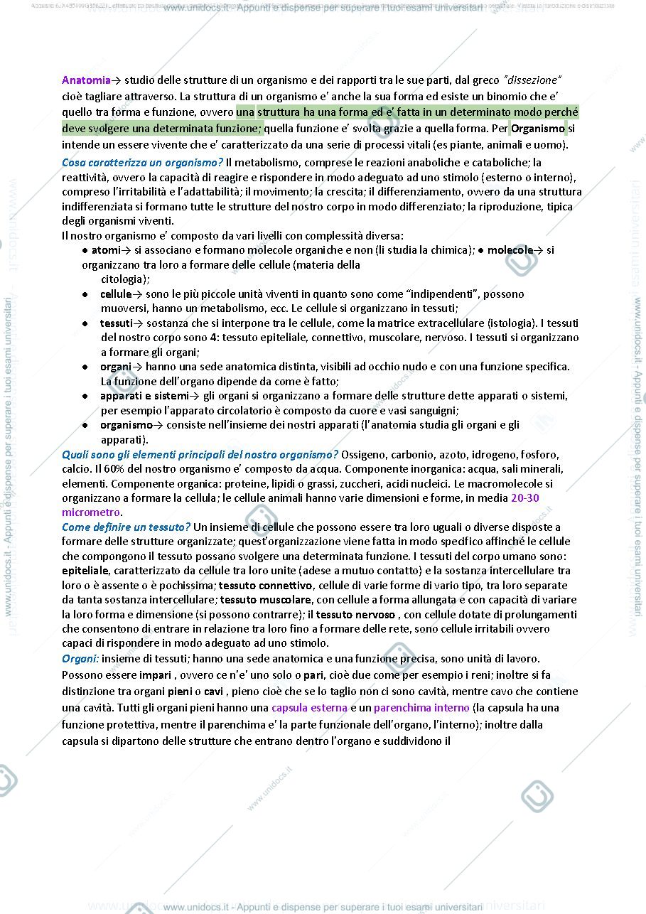 Anteprima pagina 1 — ANATOMIA SASSOLI 