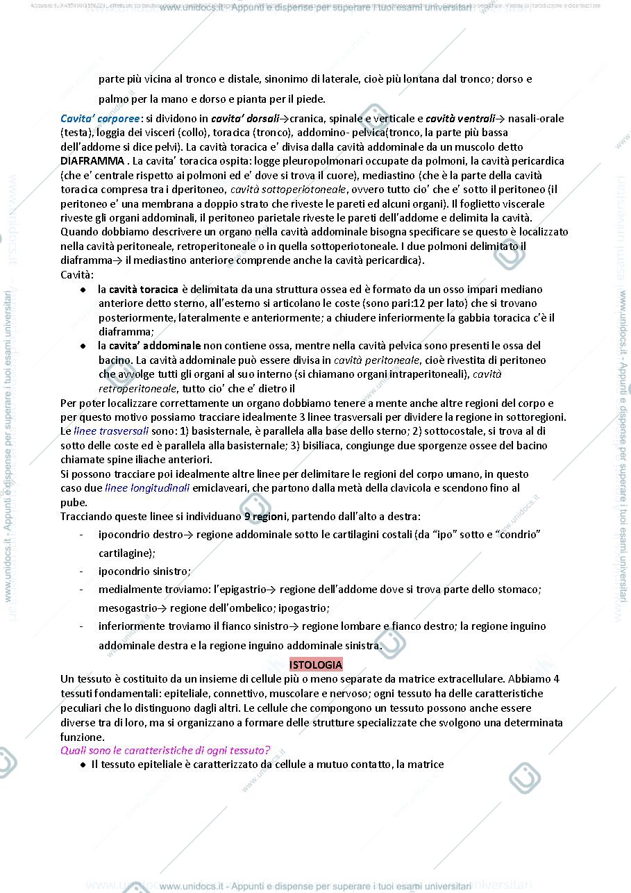 Anteprima pagina 4 — ANATOMIA SASSOLI 