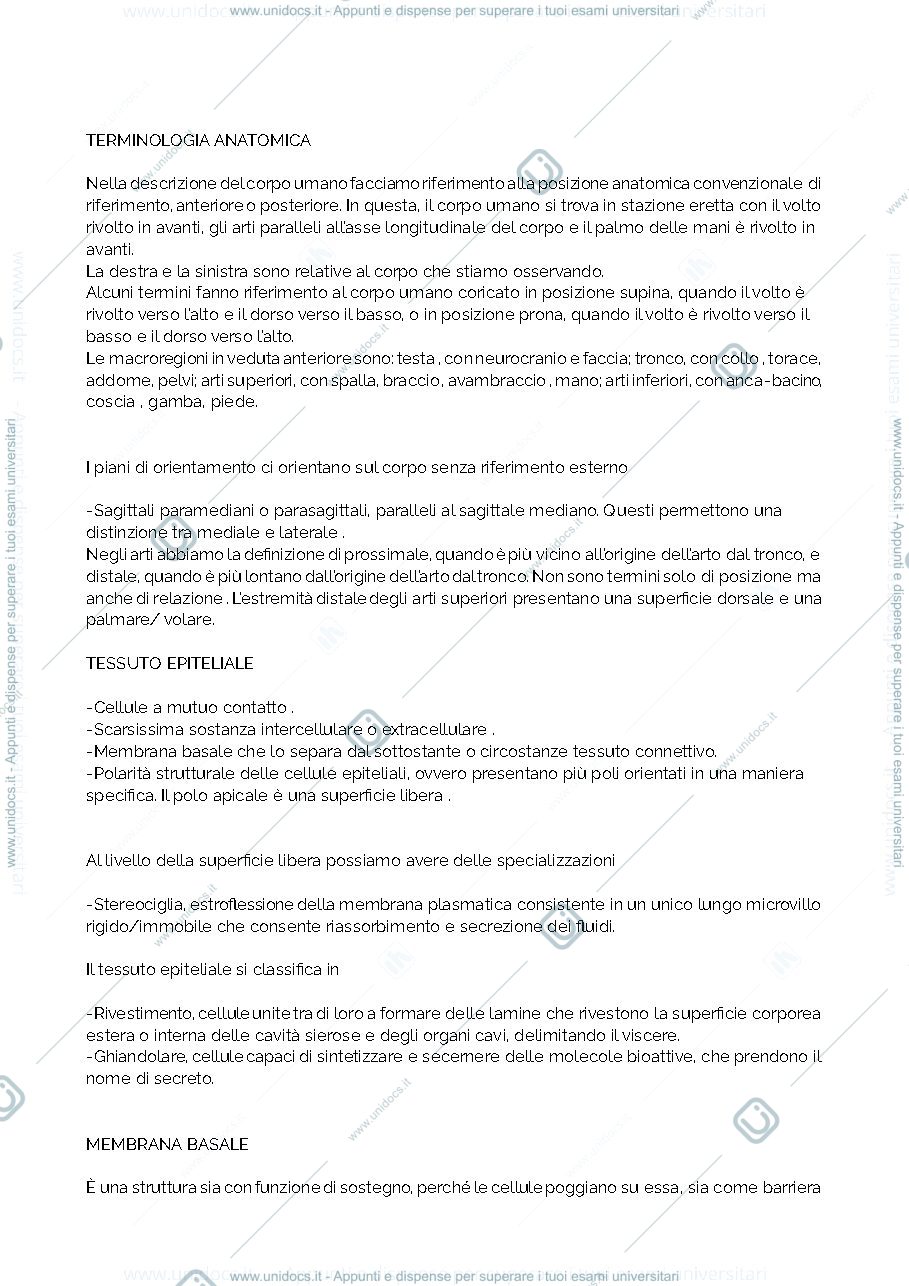 Anteprima pagina 2 — Riassunto anatomia 