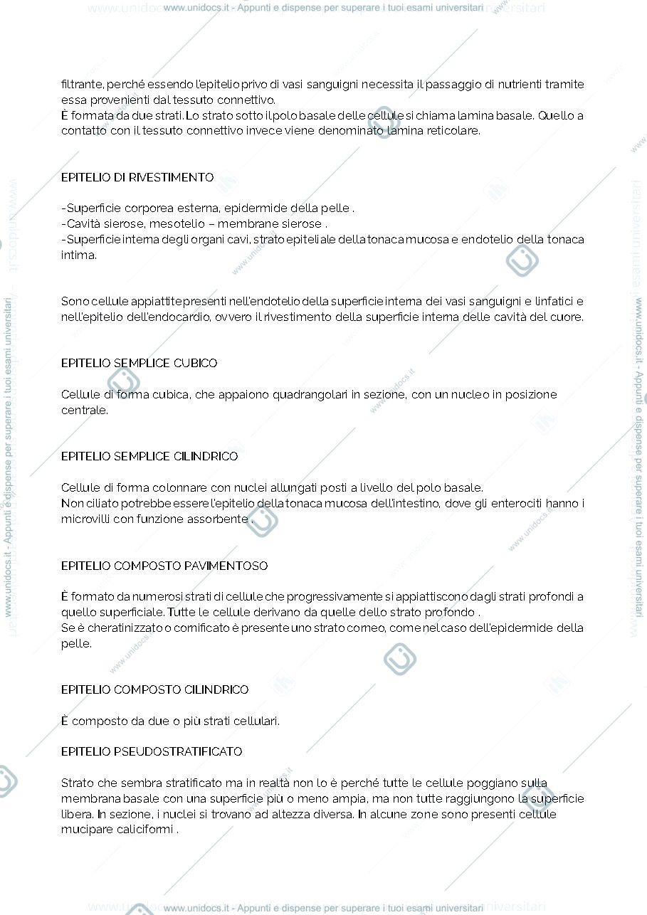 Anteprima pagina 3 — Riassunto anatomia 