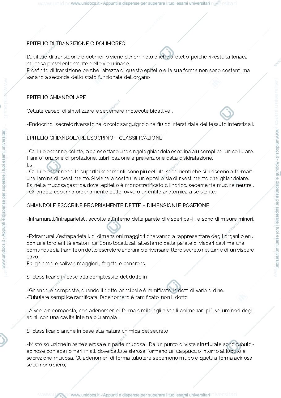 Anteprima pagina 4 — Riassunto anatomia 