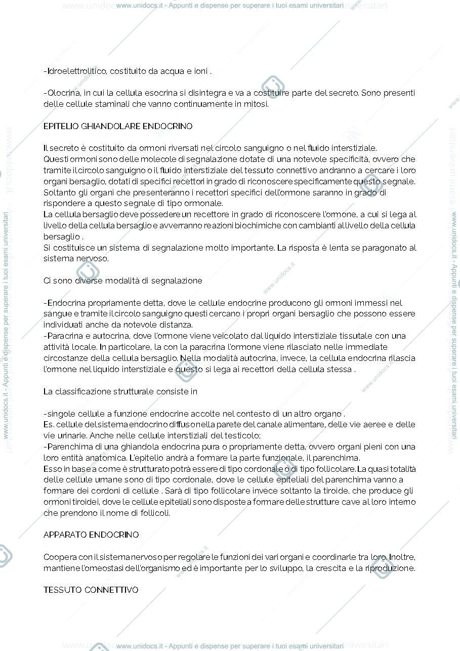 Anteprima pagina 5 — Riassunto anatomia 