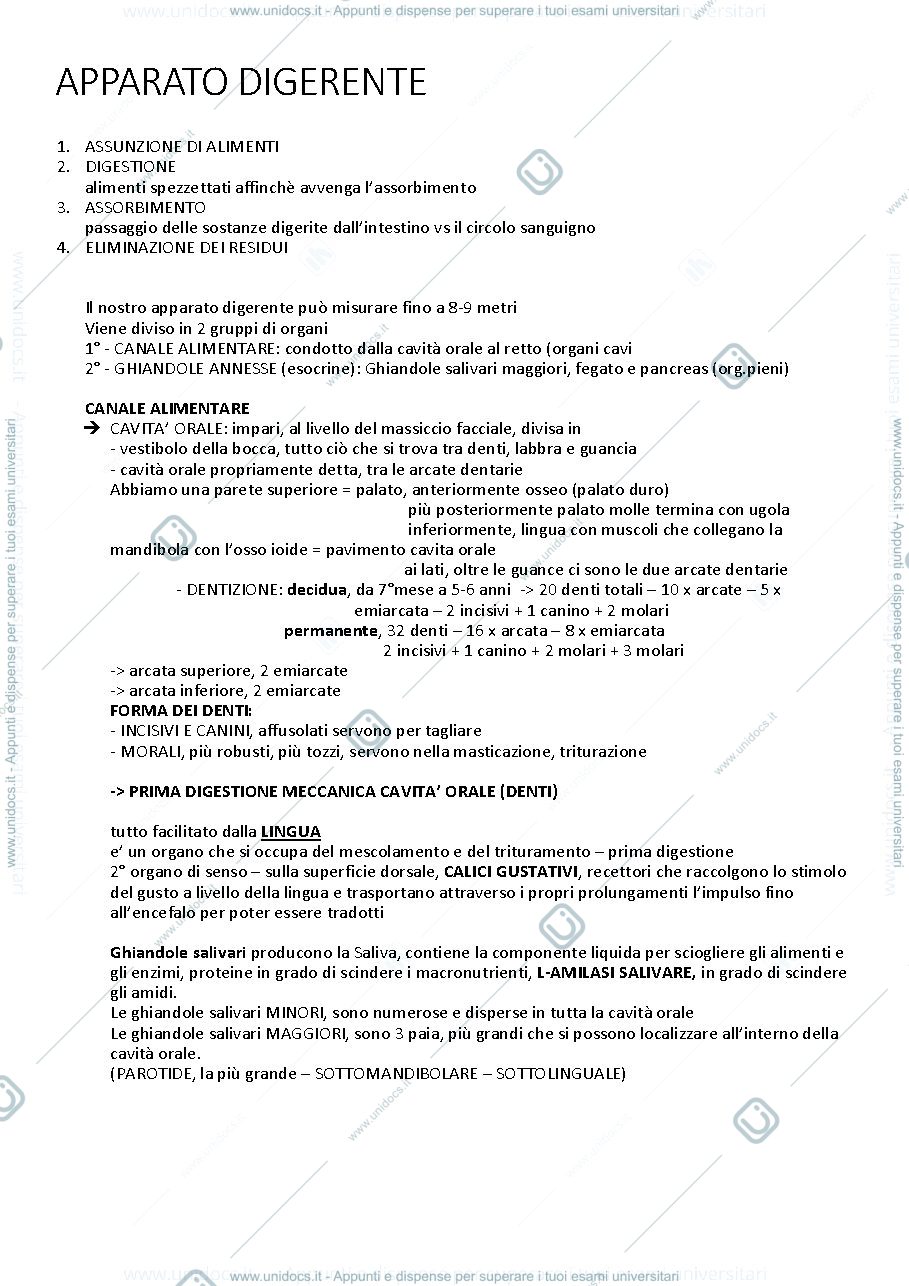 Anteprima pagina 1 — apparato digerente e ghiandole annesse