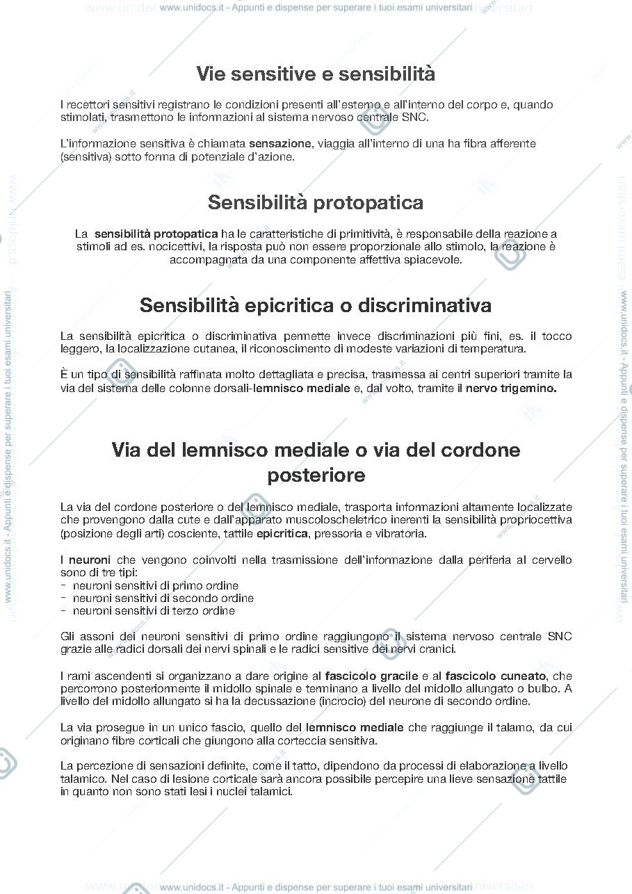 Anteprima pagina 1 — Vie della sensibilità 