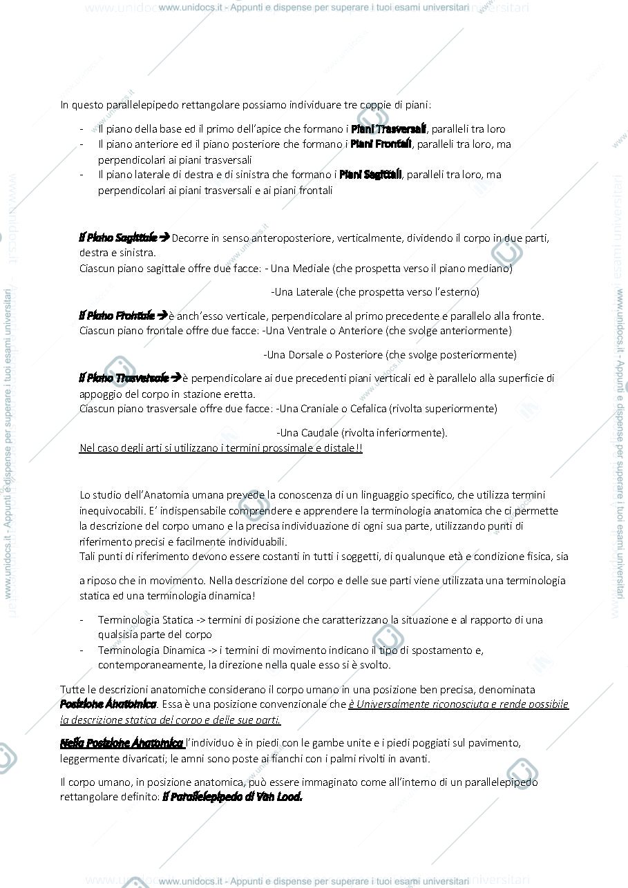 Anteprima pagina 2 — Anatomia