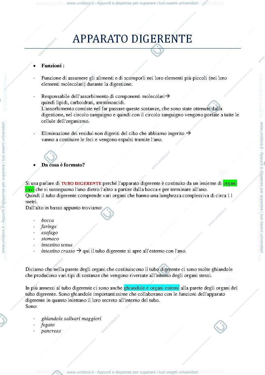 Anteprima pagina 1 — faringe