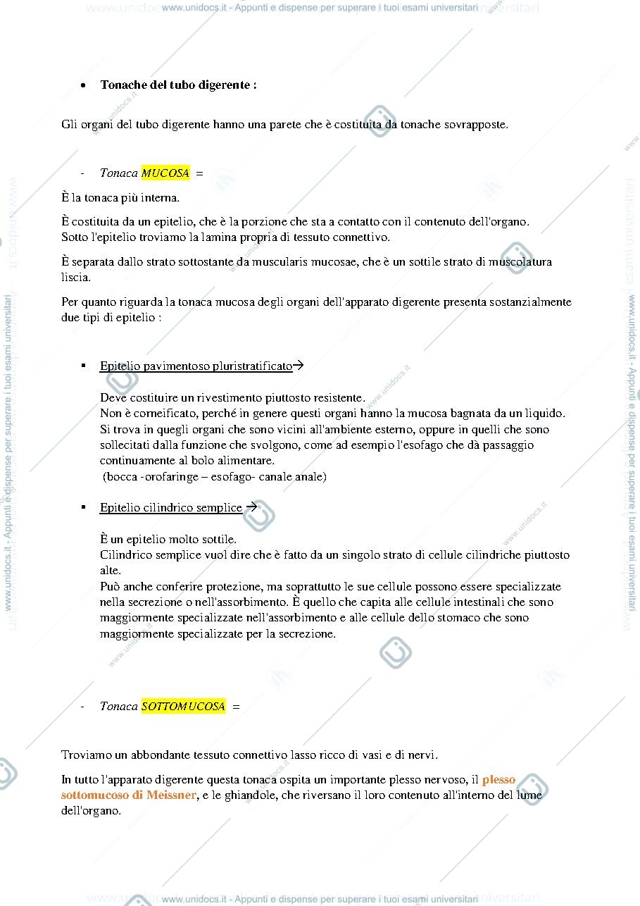 Anteprima pagina 3 — faringe